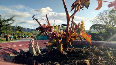 Photos of Finca El Pedregal