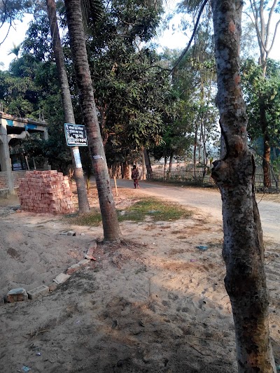 Photos of Ashidron Jame Mosjid. আশিদ্রোন জামে মসজিদ