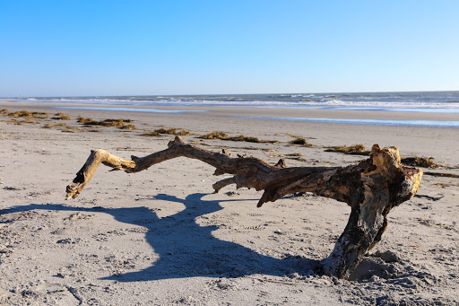 North Brigantine Natural Area - Thumbnail