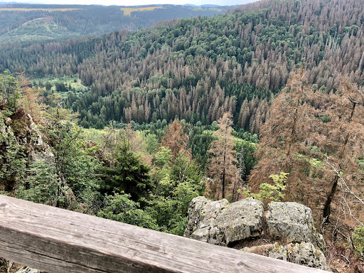 Hahnenklee Crags