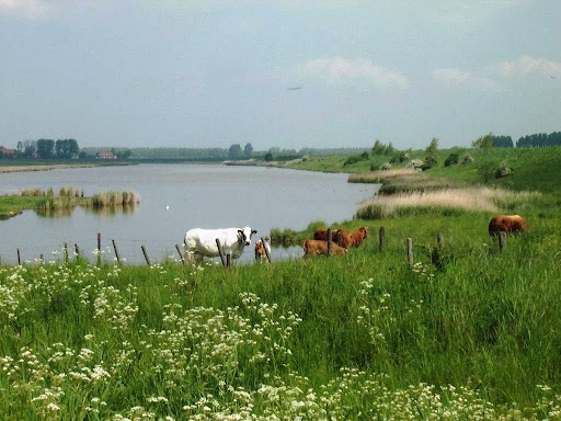 Camping Buitenhof - Thumbnail