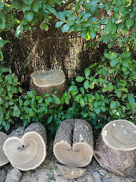 Photo n°20 de AM ELAGAGE à Villiers-sur-Marne (Jardinier)