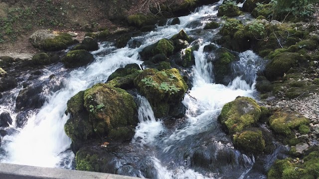 Parc national de Biogradska gora