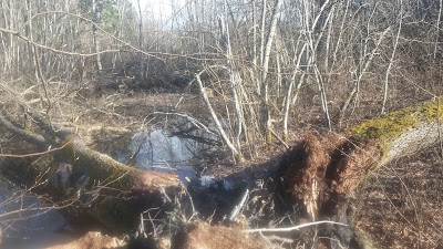 Photos of Jaunlidumnieki