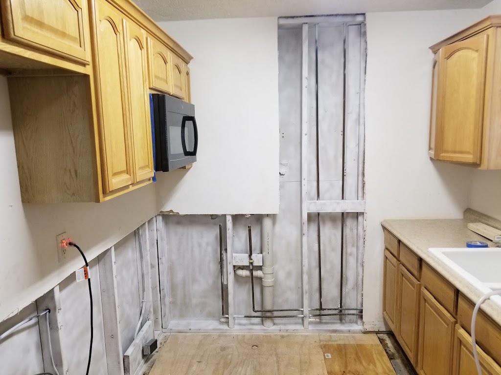 TampaBayMold.net photo