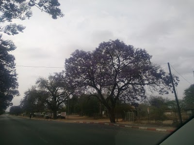 Photos of Serowe Barcelos