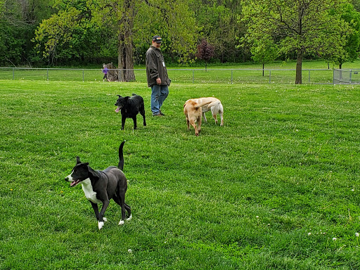 Fido Fields - Visual