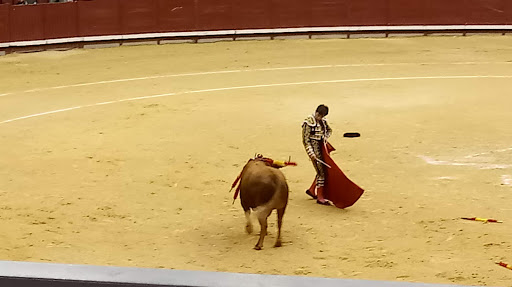 Coliseum Burgos - Visual
