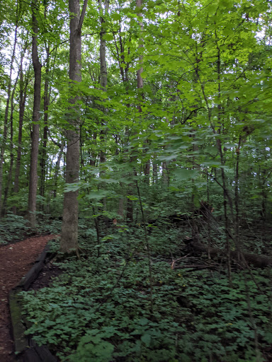 Borkholder Nature Center - Thumbnail