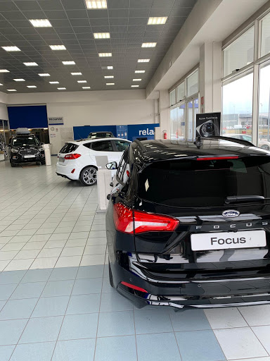 Ford Bisson Auto - Visual