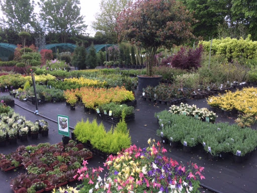 Plantencentrum Van Den Beuken - Thumbnail