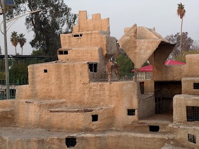 Photos of Zoo - Inside Zawraa Park
