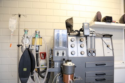 veterinary-care