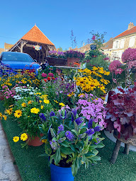 Photo n°21 de Récréation Intérieure Fleuriste à Milly-la-Forêt (Fleuriste)