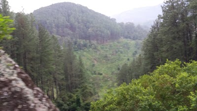 Photos of Hapugahawatte Tea Factory