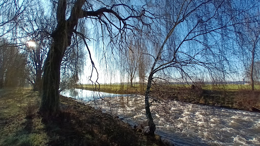 Fußgängerbrücke Rurich - Thumbnail