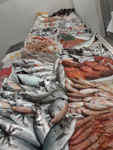 Mondo del Pesce di Grace Tuttolomondo - Thumbnail