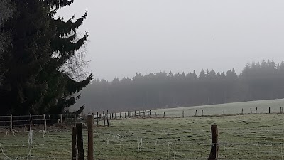Photos of Bivouac des Blancs Bois