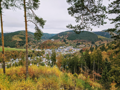 Leutenberger Urwaldpfad - Visual