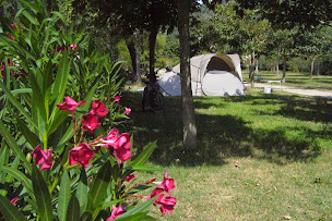 Photo n°33 de Camping i nocelli domaine de Griggione à Piedigriggio (Terrain pour camping-cars)