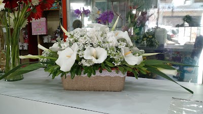 Photos of Florer&iacute;a Argentina