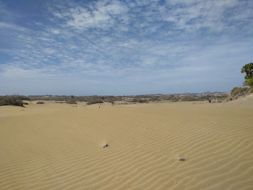 Automocion Maspalomas, S.L. - Thumbnail