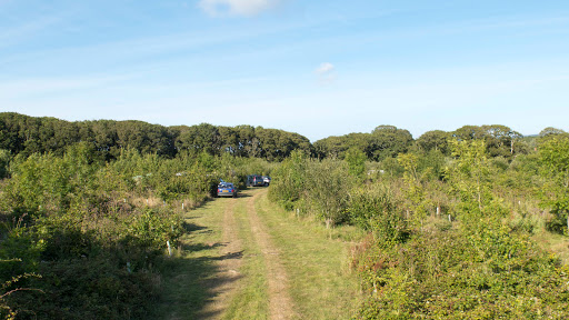 Camp Wight - Visual