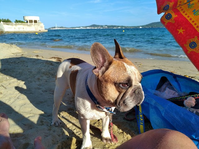 Plage Naturiste du Gros Pin
