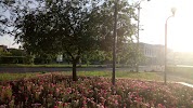 Фотография MbBratsk, Братск, Россия