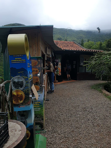 Snack Bar Flor da Selva - Restaurante