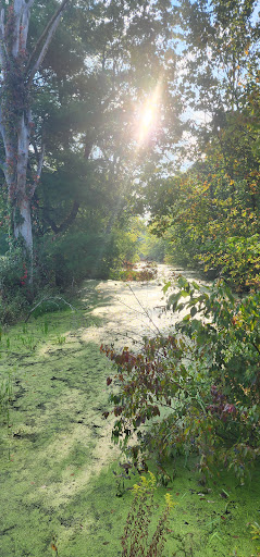 Ernst Trail Mercer Pike Trail Head - Thumbnail