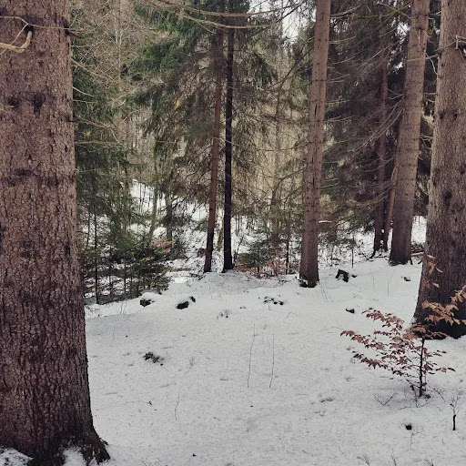 Meiselteich - Thumbnail