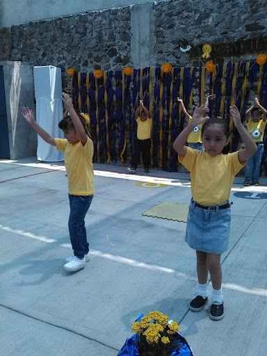 Centro Educativo NUESTRO PLANETA - Thumbnail