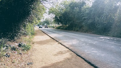 Photos of Achimota Forest