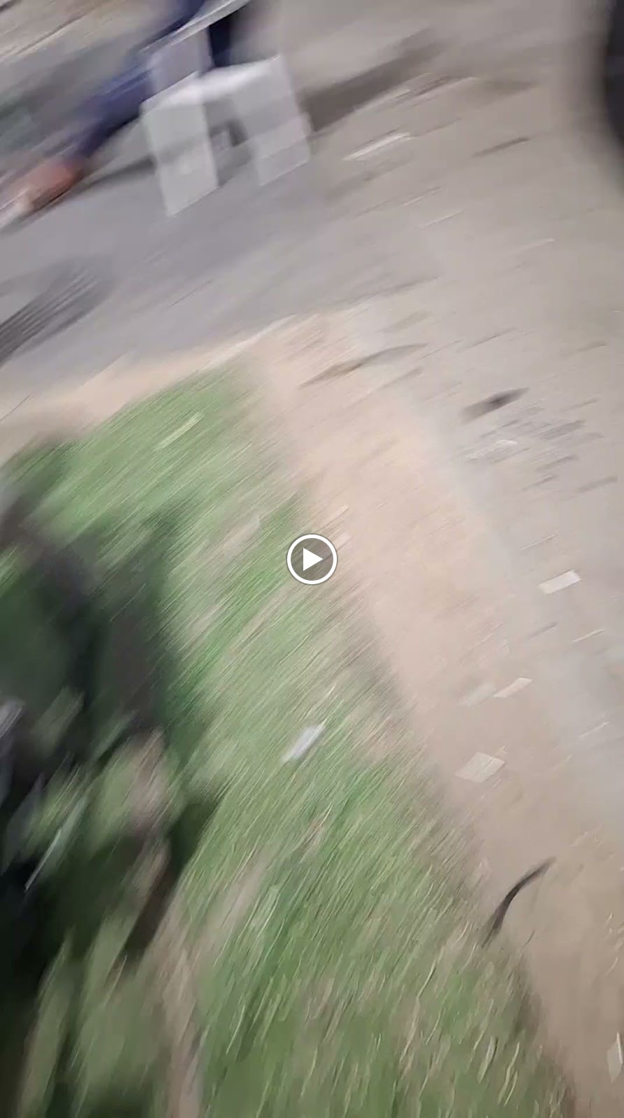 Al hamra auto electrical repairing - صورة 2