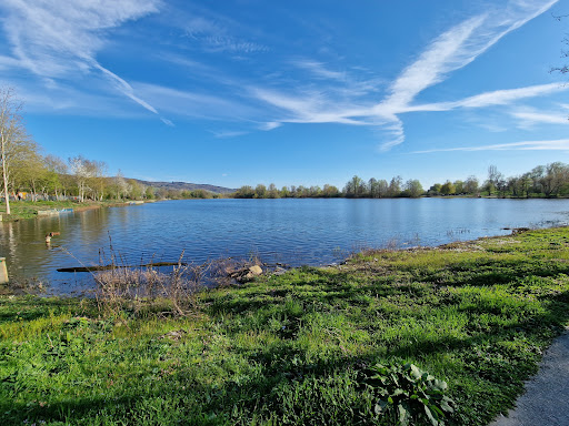 Bruchsee - Visual
