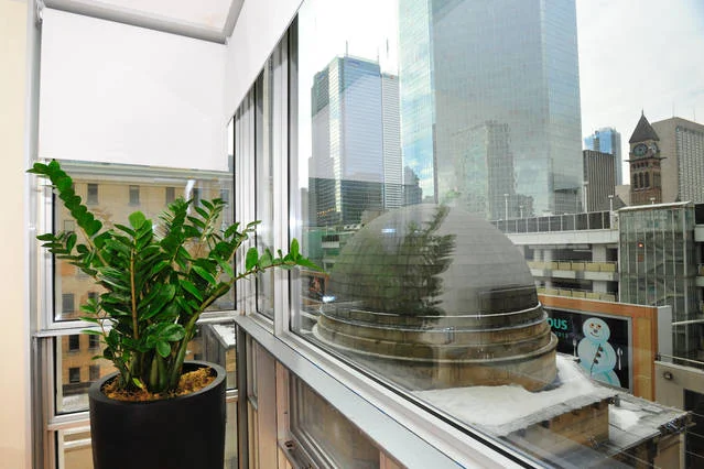 Yonge Suites