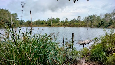 Danau Bening East Kalimantan Indonesia