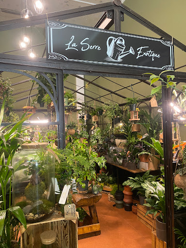 Arbres & Co