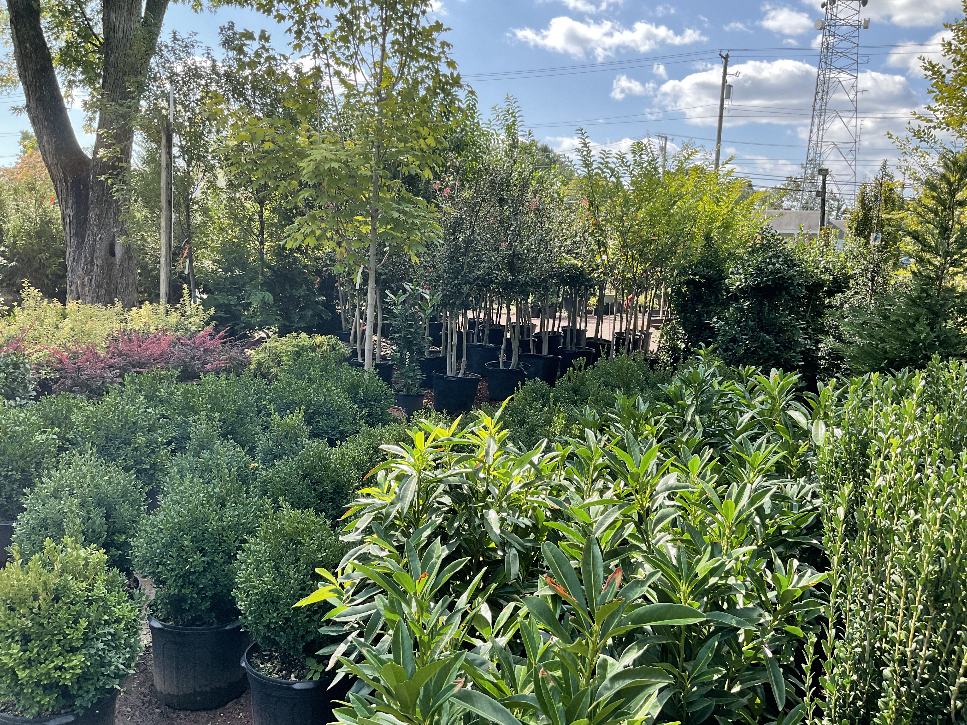 Circle Garden Center