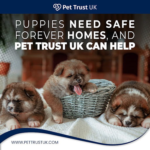 Pet Trust Uk Logo