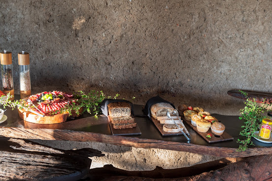 Sabi Sabi Earth Lodge by null