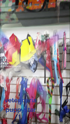 Fotografía de Centro Veterinario PuppyStar Vídeos