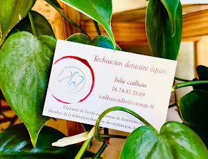 Photo n°2 de Dentiste Equin diplômé TDE - Julie Cailhau à Vendays-Montalivet (Dentiste)