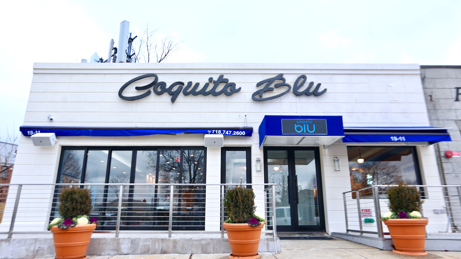 Coquito Blu — photo 1