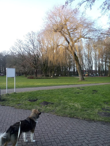 Wohnmobilstellplatz Rhede - Thumbnail