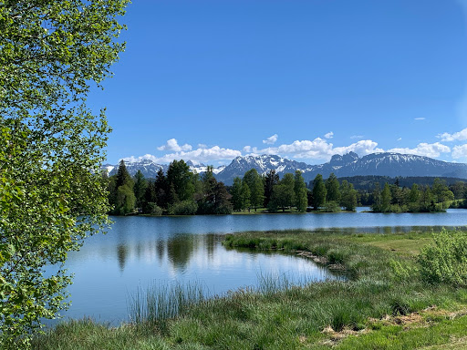 Schwaltenweiher - Visual