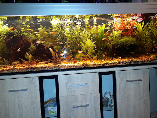 Aquarium Gubin - Thumbnail
