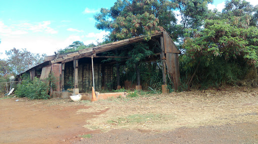 Kauai Wildlife Reserve - Thumbnail