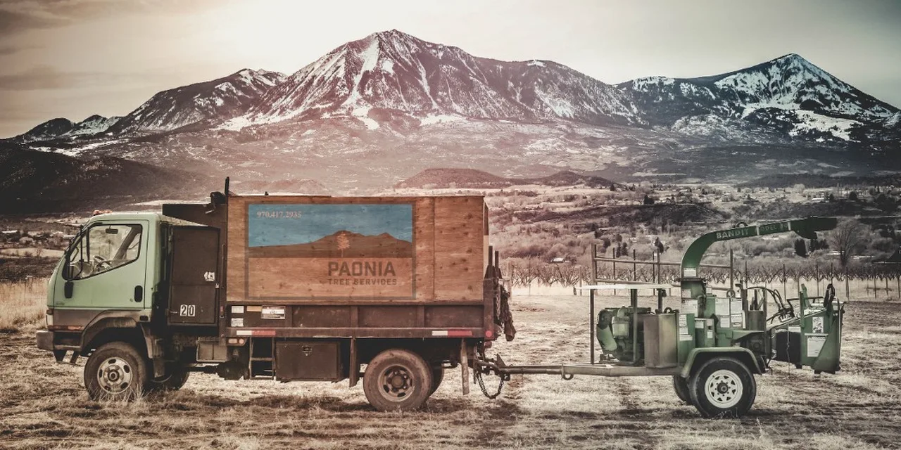 Paonia Tree Services